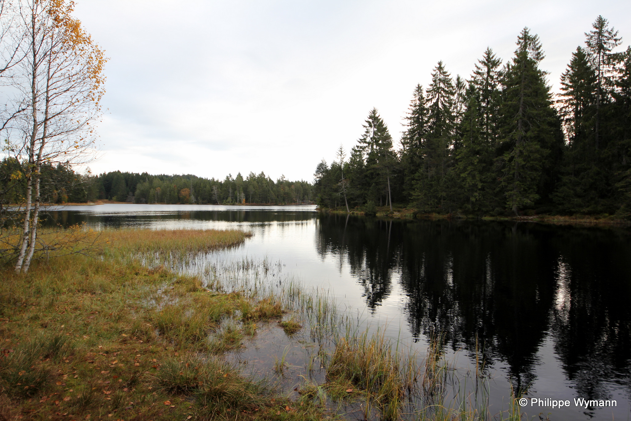 Etang de la Gruère, Saignelégier